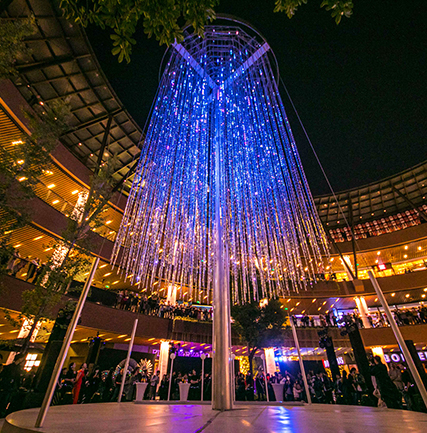 “光影上！！钡乒庖帐踅谒飨钅