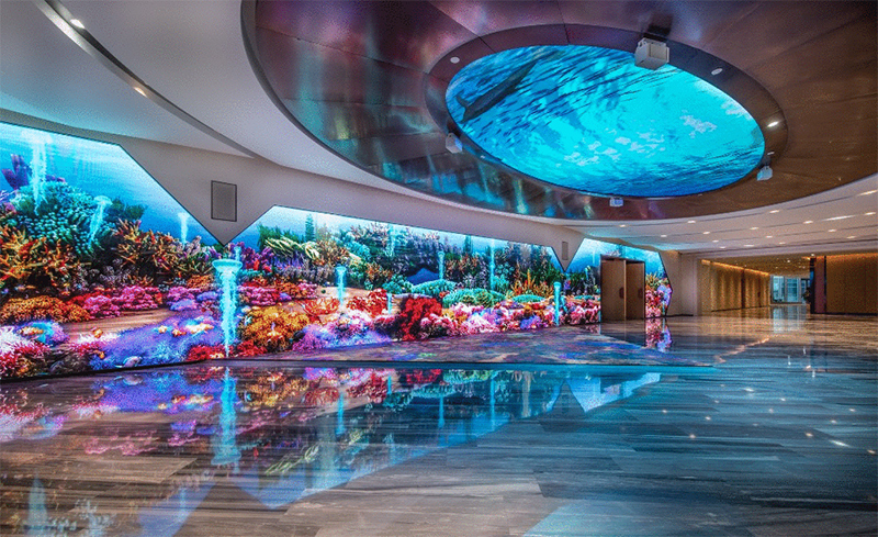 首页|NG大舞台,有梦你就来